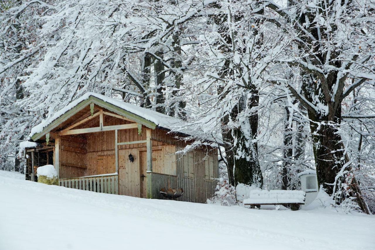 Ferienwohnung Hausleitner Zell am Moos Exteriér fotografie